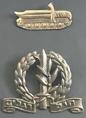 לוט 2 סמלים של חיל רגלים : 
ב. סיכת יחידת חרמ"ש/ יחידת ברדלס (יחידת חי"ר שעסקה בשגרה בבט"ש 