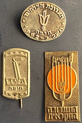 לוט 3 סיכות ישראליות נושנות, לא נפוצות, של תערוכות שונות, שהתקיימו במהלך שנות ה-50' וה-60'.