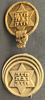לוט 2 סיכות נושנות, שונות זו מזו : אות הספורט חזק ונתחזק .