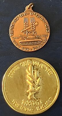 לוט 2 מדליות זיכרון פרטיות שהוטבעו לכבוד כנסים של הפלמ"ח וההגנה: 
א.