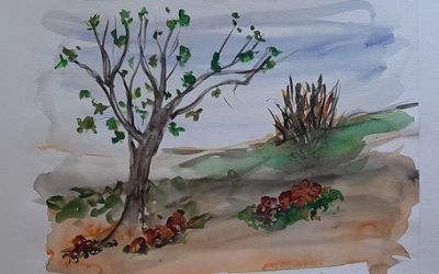 דבי אשל, אקוורל על נייר , 30 על 42 ס"מ, חתום.