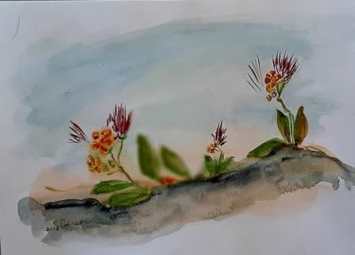 דבי אשל, אקוורל על נייר, 30 על 42 ס"מ. חתום