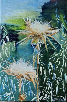 נאוה סידון, שמן על בד, 30 על 20 ס"מ, חתום