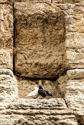 Yael ben Yashar, photograph printed on plexiglass, 70 by 54 cm, . Yael ben Yashar, 56 years old 