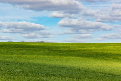 יעל בן ישר, צילום מודפס על נייר פוטו, 29.7 על 42 ס"מ, 1/10, ממוסגר: מידה כולל מסגרת 40 על 50 ס"מ. 