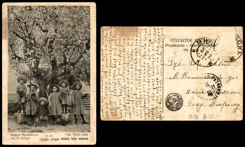 יודאיקה : גלויה עתיקה " תחת עץ השקד " ט"ו בשבט בארץ ישראל. בהוצאת חברת " לבנון " . כיתוב באידיש 