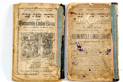 זוג ספרי מוסדי שפת עבר