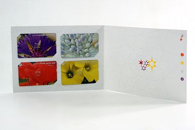 דף מזכרת , טלכרט .נסיעה נוסטלגית בזמן: אוסף כרטיסי טלפון (טלכרטים) המוקדש כולו לצבעים בפרחים.