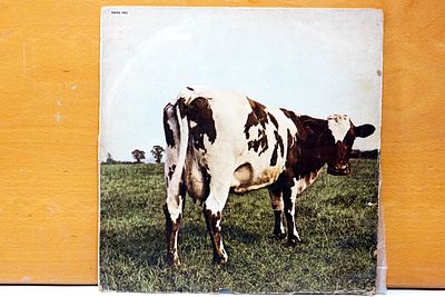 תקליט פינק פלויד Pink Floyd)