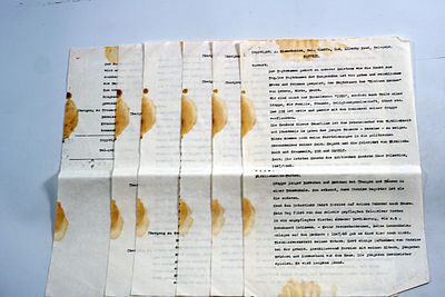 תסריט הסרט 'נרקיס' בגרמנית מאת אלף הימלרייך, תל אביב, 1947–1948.