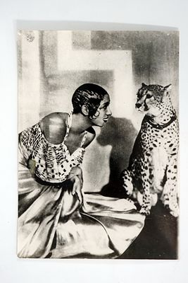 צילום של השחקנית, הרקדנית והזמרת ג'וזפין בייקר עם הברדלסית שלה צ'יקיטה. שנות ה-30–40.