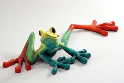 פסל מרהיב פרי יצירתה של פסלת חיות הבר עטורת הפרסים, קיטי קנטרל. היצירה לוכדת את תנועת הצפרדע 