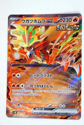 קלף פוקימון POKEMON