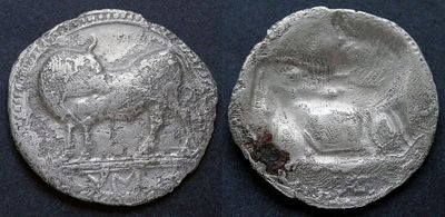 Лукания, Сибарида, 550-510 годы до Р.Х., тридрахма. AR тридрахма (номос), вес 6.42 гр., диаметр 