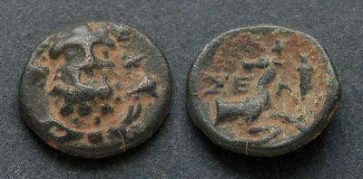 Писидия, Селге, II-I век до Р.Х., АЕ14. АЕ, вес 1.91 гр., диаметр 14 мм. Место чеканки: Селге. 