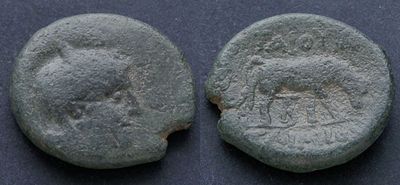 Македония под римским протекторатом, квестор Г.Публий, 146-143 годы до Р.Х., АЕ21. АЕ, вес 8.59 