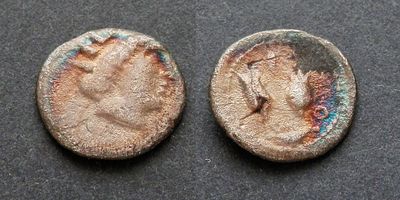 Родос, Родос, 275-250 годы до Р.Х., диобол. AR диобол, вес 0.76 гр., диаметр 10 мм.Место 