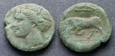 Тираны Сиракуз, Гиерон II, 275-215 годы до Р.Х., АЕ19. AЕ, вес 5.09 гр., диаметр 19 мм.Место 