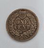 Brown Indian Head Cent Coin 
(Coin Collectors Over 122 Years). Country: USA 
Year: 1902 
Metal: Image - 2