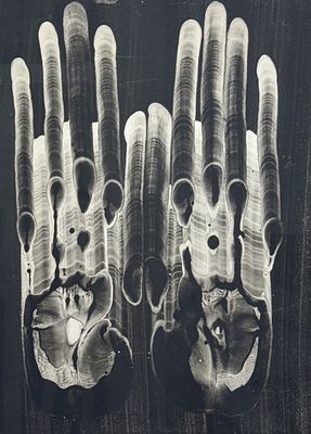 מרים כבסה. ידיים, שמן על קרטון, 30x23 ס"מ, חתום ומתוארך 2017, ממוסגר, עבודה איכותית של אמנית 