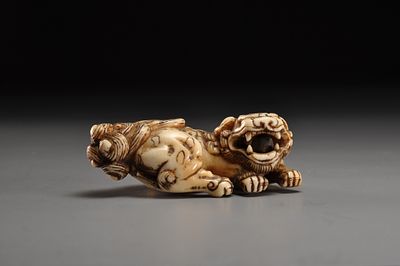 Netsuke/ Нэцкэ Лежащий шиши . Япония, Камигата, начало XIX века, Эдо период 
Слоновая кость; 