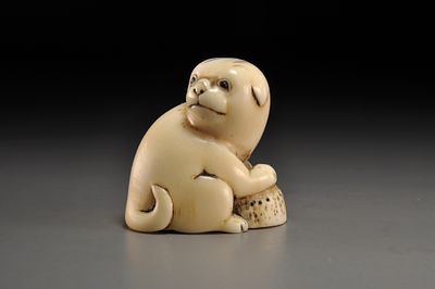 Netsuke / Нэцкэ Щенок с раковиной моллюска аваби. Япония, Киото, период Эдо, начало XIX века 