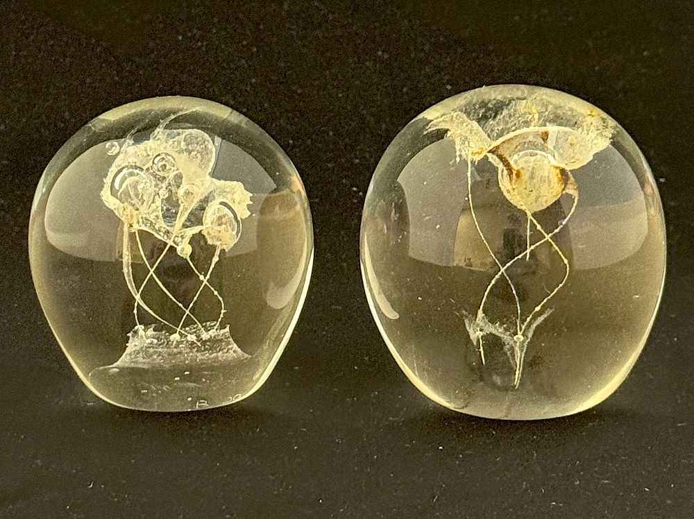 Lot 572: 2 Jolley Art Glass Paperweights