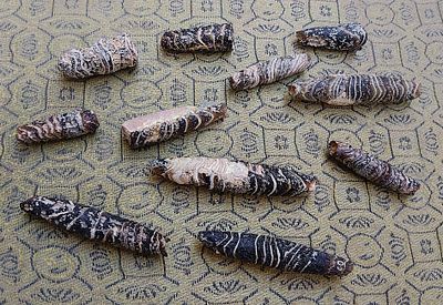 חרוזי זכוכית עתיקה. Trail decorated beads; Western Asia, possibly Syria, 6 complete, 5 broken 