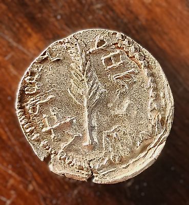 Silver denarius ('Zuz'), the second year of Bar Kokhba Revolt. Obv.: Bunch of grapes with small 
