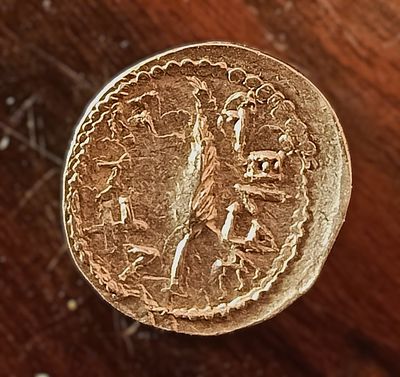 Silver denarius ('Zuz'), the second year of Bar Kokhba Revolt. Obv.: Bunch of grapes with small 