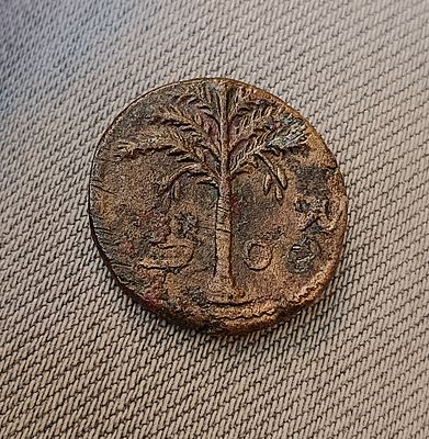 Medium bronze coin (Dupondius), the second year of Bar Kochba Revolt. Obv.: Palm tree with 