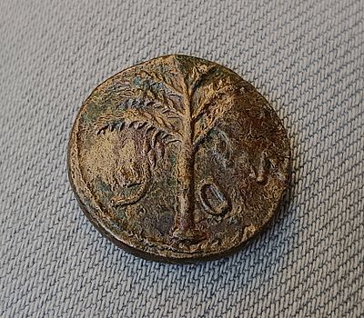 Medium bronze coin (Dupondius), the second year of Bar Kochba Revolt. Obv.: Palm tree with 