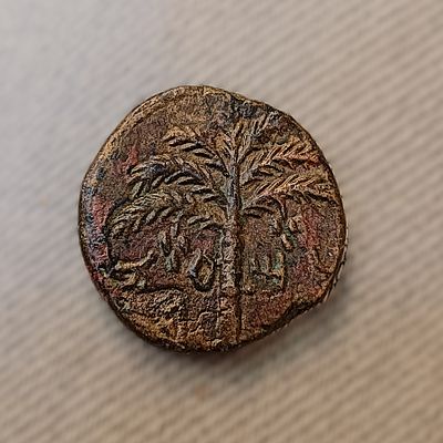 Medium bronze coin (Dupondius), the second year of Bar Kochba Revolt. Obv.: Palm tree with 