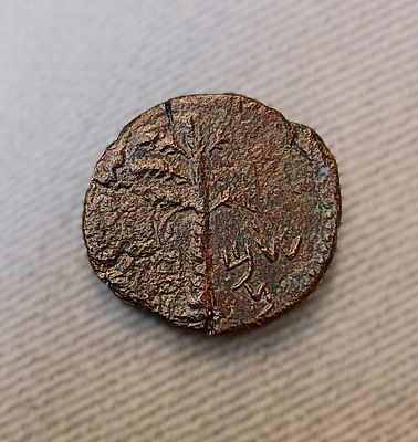 Medium bronze coin (Dupondius), Bar Kochba Revolt. Obv.: Palm tree with seven branches and two 