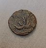 Medium bronze coin (Dupondius), Bar Kochba Revolt. Obv.: Palm tree with seven branches and two Image - 1