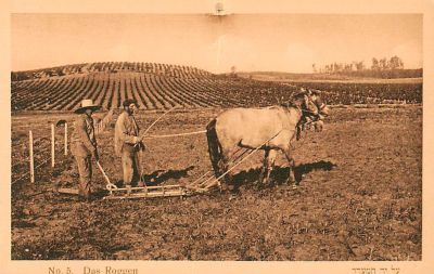 לוט 2 גלויות, צילום בן דב שנות העשרים.
