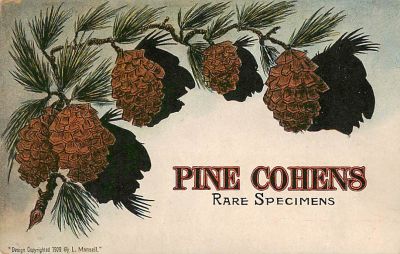 לוט 3 גלויות קריקטורה, ארה"ב 1910.