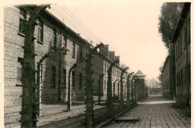 לוט 6 תצלומים ממחנה הריכוז אושוויץ, שנות החמישים. גודל: 7/10 ס"מ.