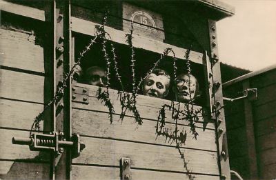 לוט 3 גלויות מחנות ריכוז שואה רוונסברוק וגוזן.