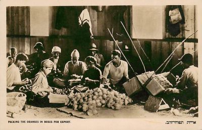 גלויה עם חלוצים שאורזים תפוזים, מהדורת אליהו, 1925.