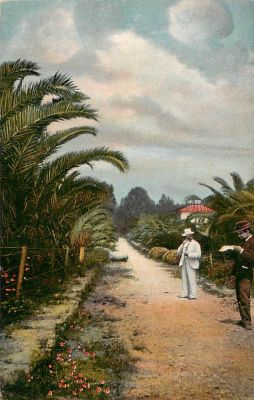 גלויה אחת ראשון לציון. מהדורה יהודית קלן, גרמניה 1910.