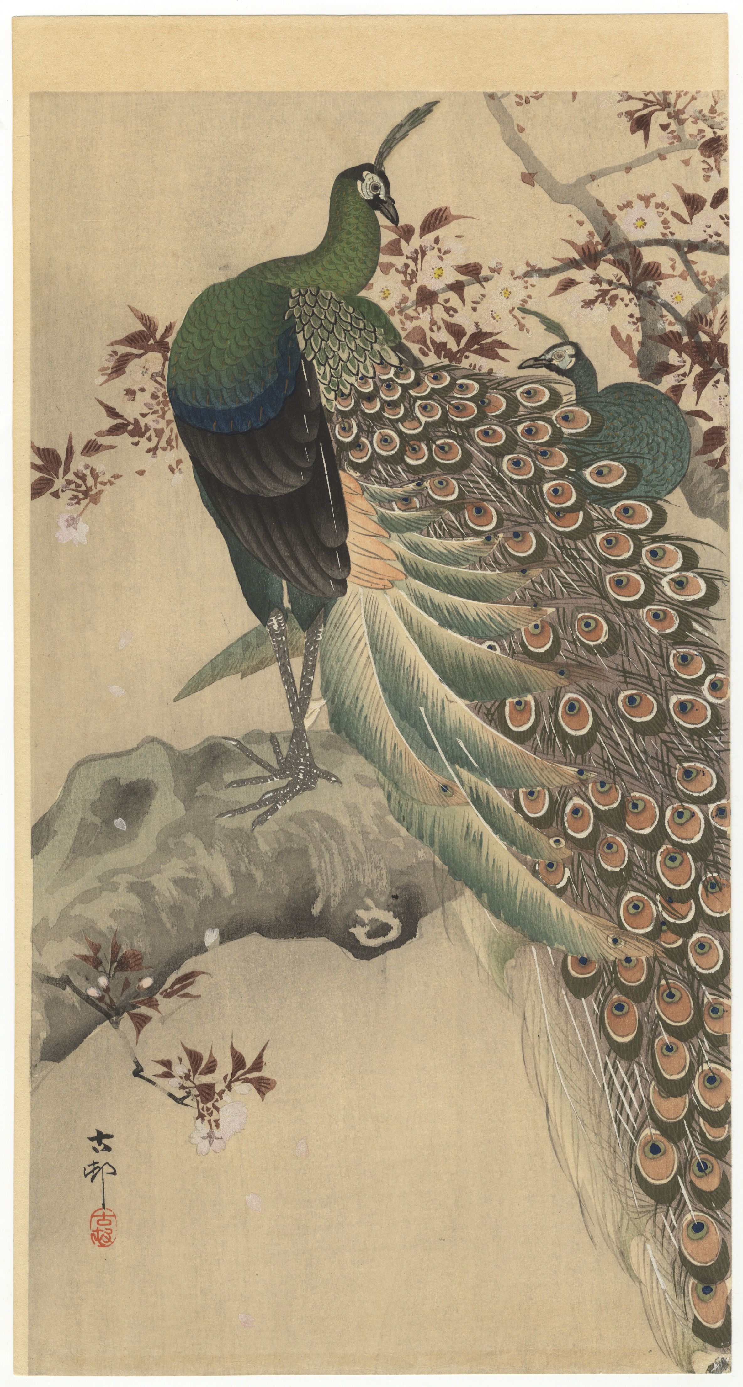 Koson Ohara, Two Green Peacocks and Flowering Tree *