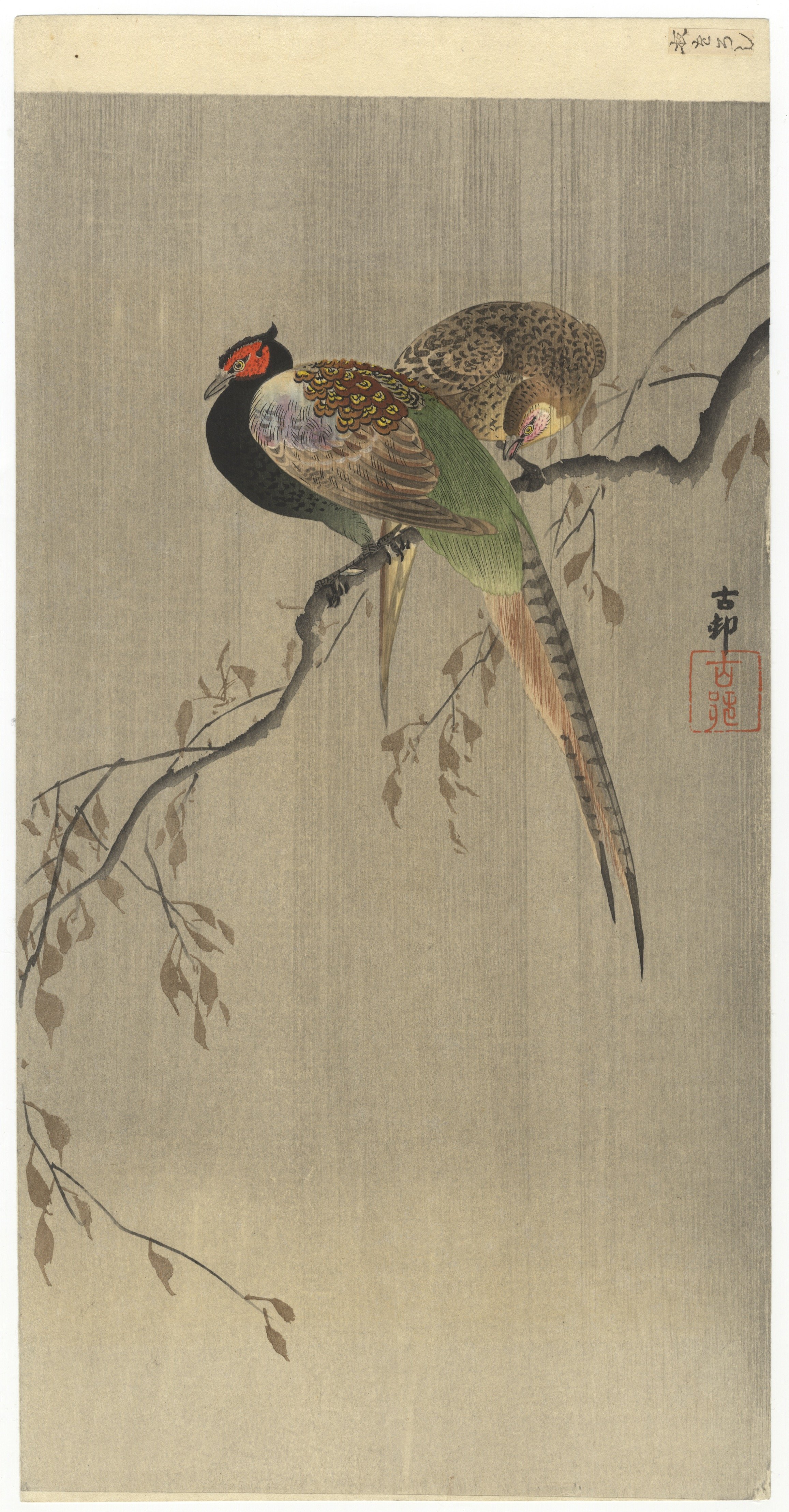 Koson Ohara, A Couple of Pheasants, First Edition Print*