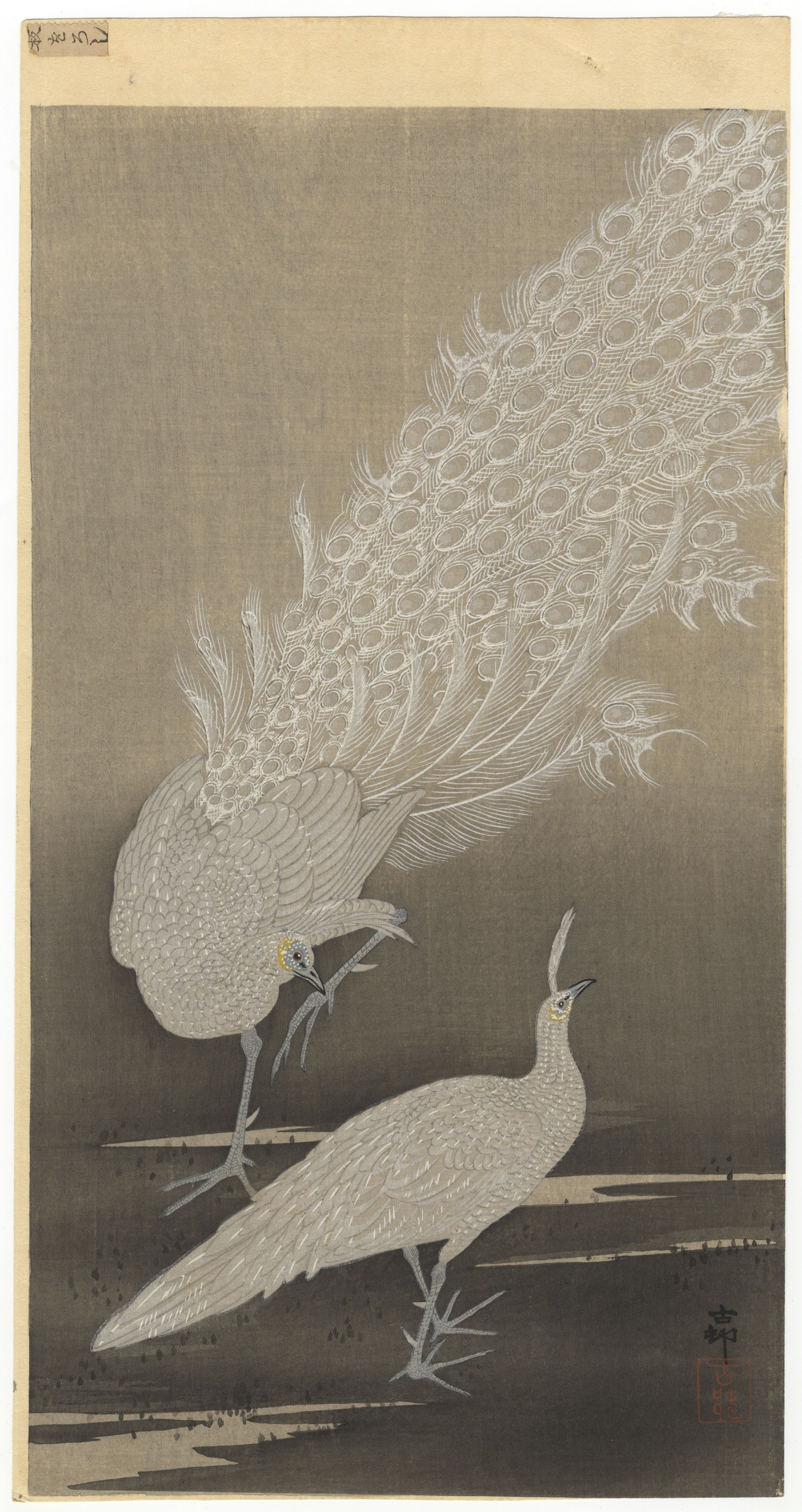 Koson Ohara, White Peacocks, First Edition, Japanese Art *