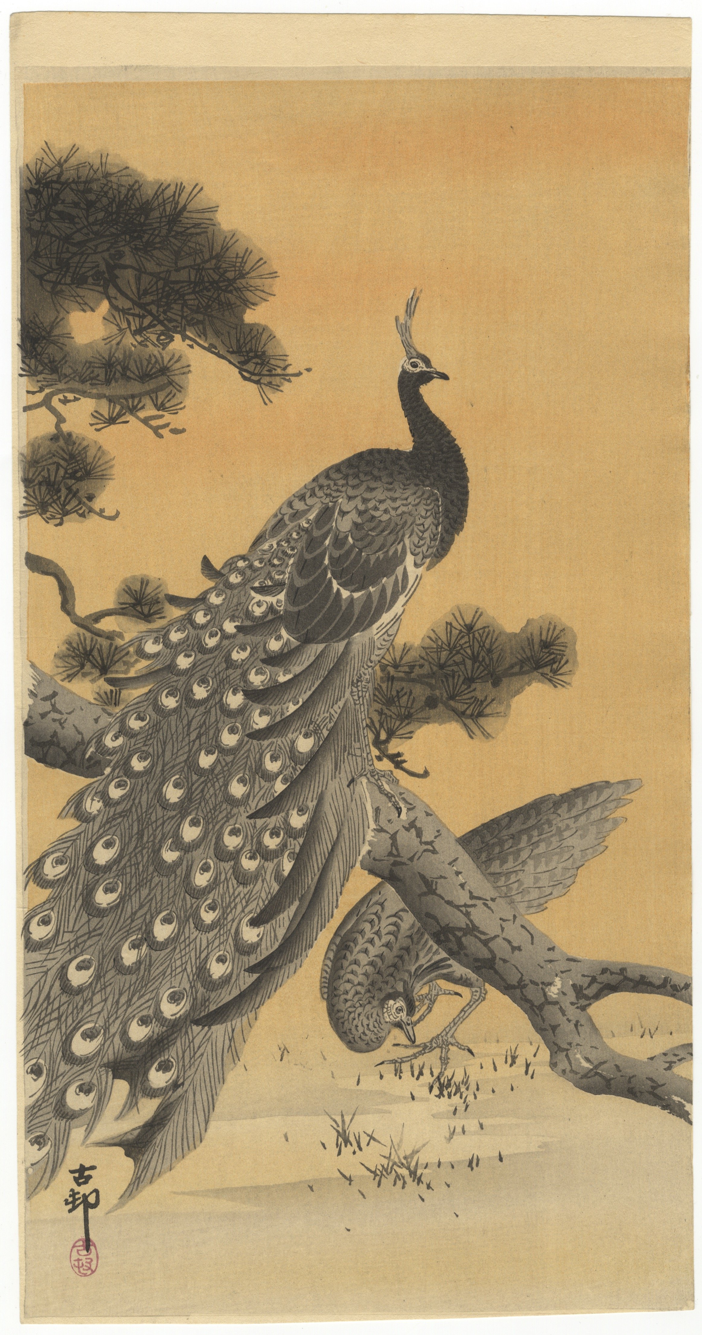 Koson Ohara, Peacock and Hen, Shin-Hanga *