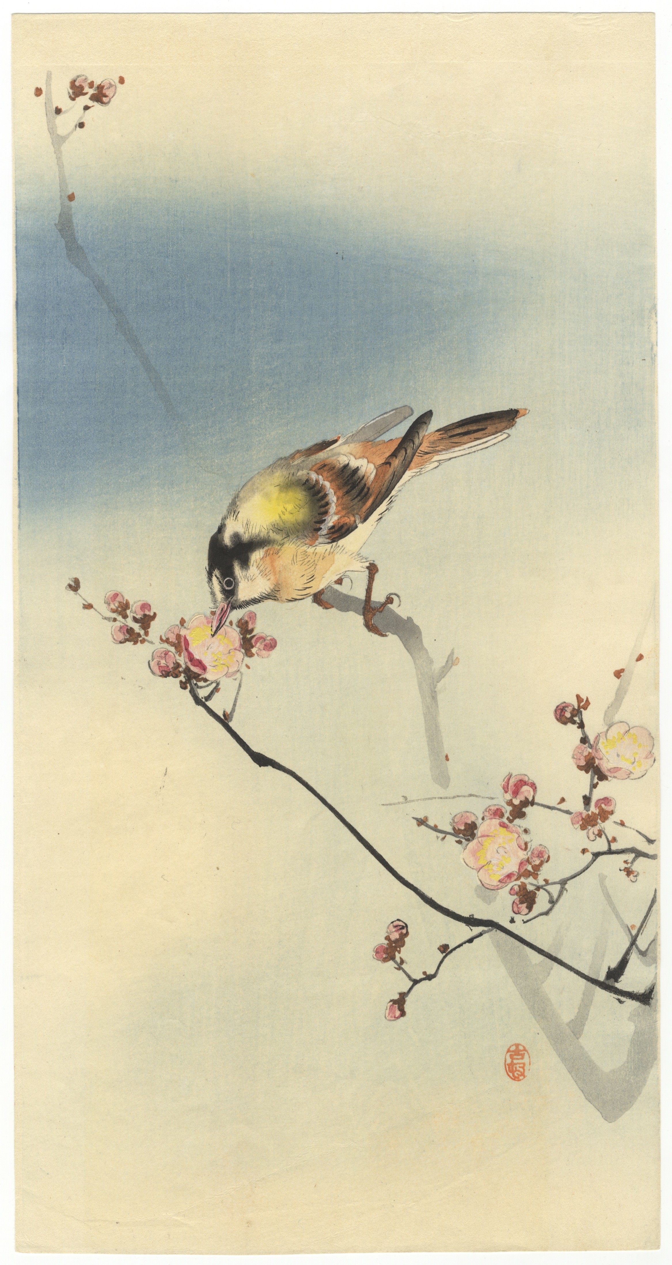 Koson Ohara, Small bird and Blossoming Plum *