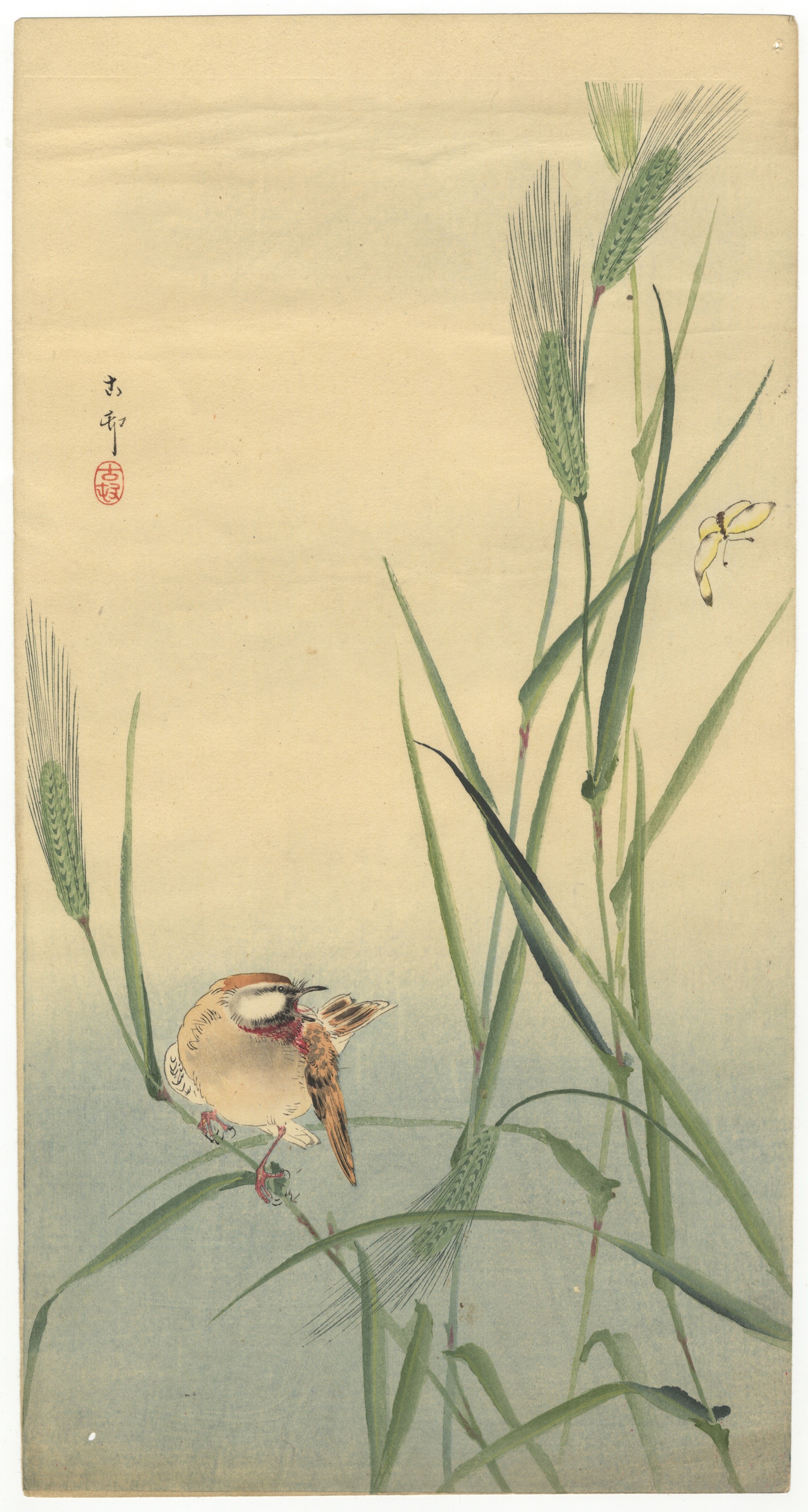 Koson Ohara, Songbird on Barley Stalk, Japanese Antique *