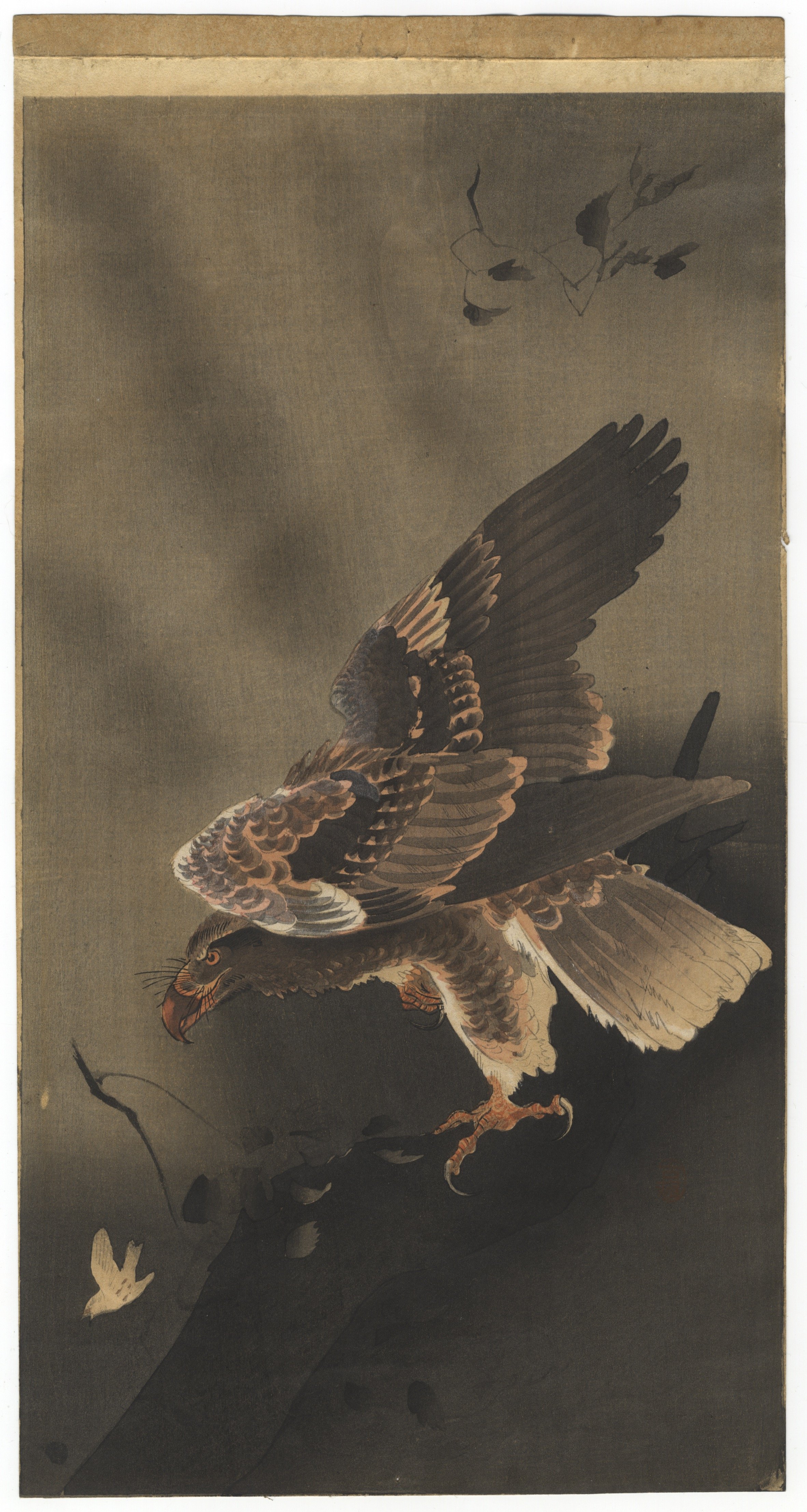 Koson Ohara, Eagle with Outspread Wings, Shin-Hanga