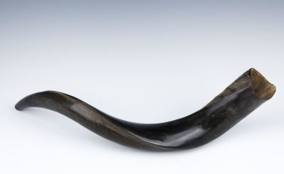 A YEMENITE KUDU SHOFAR HORN. Israel, Modern. Half polished. 19" long.