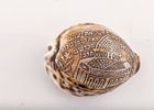 A RARE COWRY SHELL FROM THE TEMPLE MOUNT, 1927. Etched with the Dome of the Rock from the Temple תמונה - 1